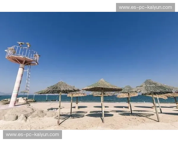 也门vs马尔代夫：一场跨越山海的心灵之约