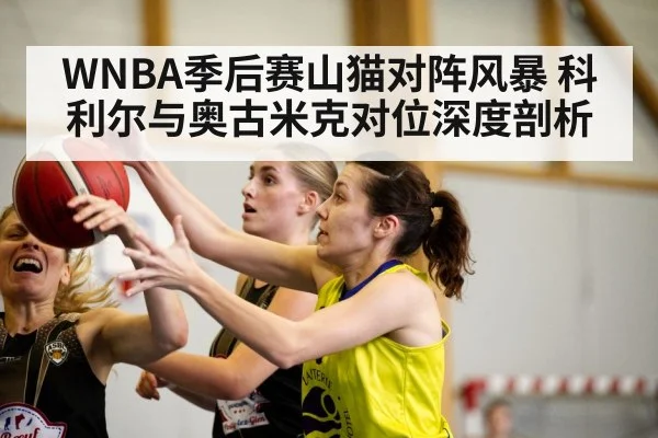 WNBA季后赛山猫对阵风暴 科利尔与奥古米克对位深度剖析
